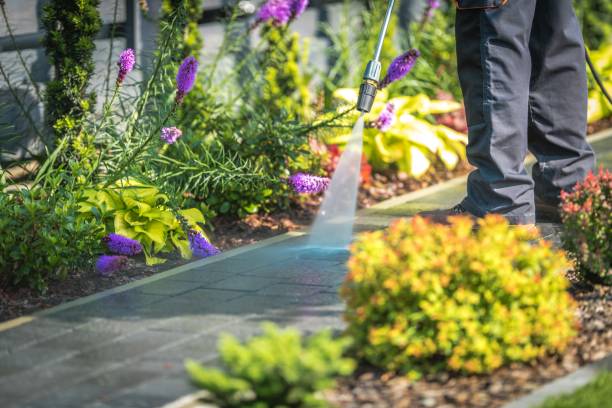 Best Pool Deck Cleaning  in Hawarden, IA
